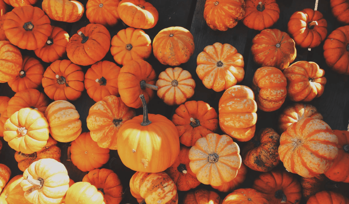 Festivales de otoño y otros planes en familia en Miami y Broward: 17 y 18 de octubre
